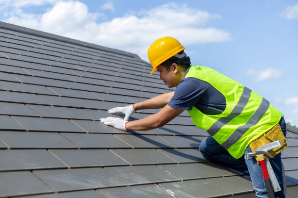 Best Roof Gutter Cleaning  in Somonauk, IL