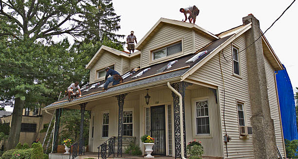 Best Residential Roofing Contractor  in Somonauk, IL
